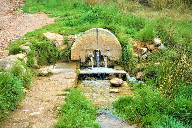 Foto de63b141-f22c-4c8c-b865-add4c5f7f75b. Finca rústica en calleja hontanar 78 en Utiel