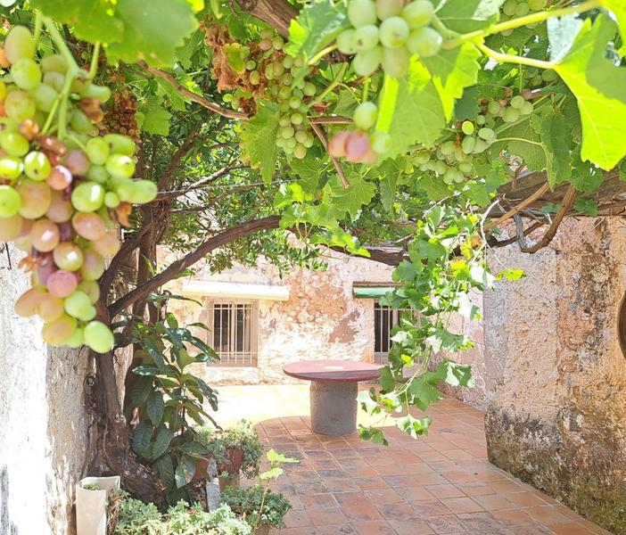 Foto c003c330-1470-431c-9aa5-e2cb6be7e2ee. Casa en calle progreso derramador 13 bonita casa de pueblo con amplio patio y fachada a dos calles. en Requena