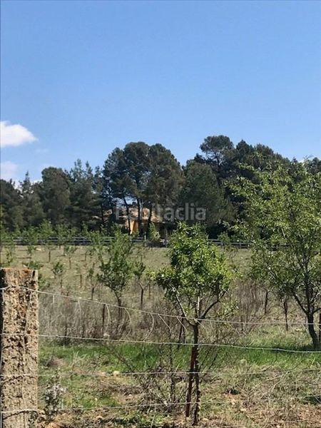 Foto 158789a0-0456-43d0-b828-dd76c719b48c. Mas dans viñuelas dans Cortes de Pallás