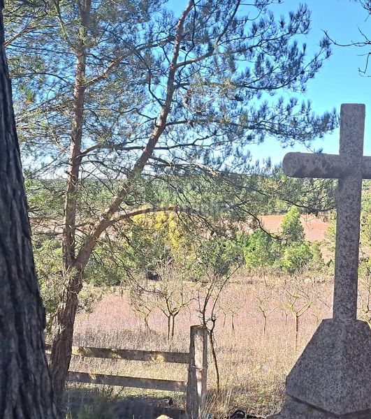 Foto a3d231d4-5596-4ea6-99ee-eb23f3106893. Mas dans viñuelas dans Cortes de Pallás