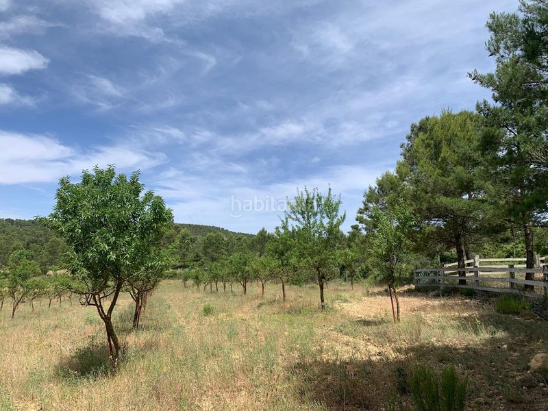 Foto b65c324a-9b48-4ada-9446-cb4e75fac045. Mas dans viñuelas dans Cortes de Pallás