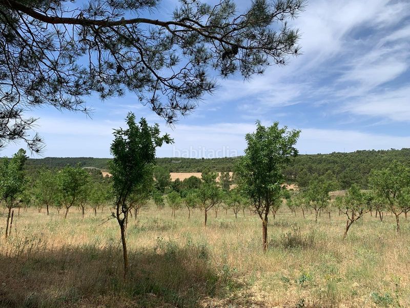 Foto ba7e6c3a-d6d9-4c8e-9311-96053b3194c6. Mas dans viñuelas dans Cortes de Pallás