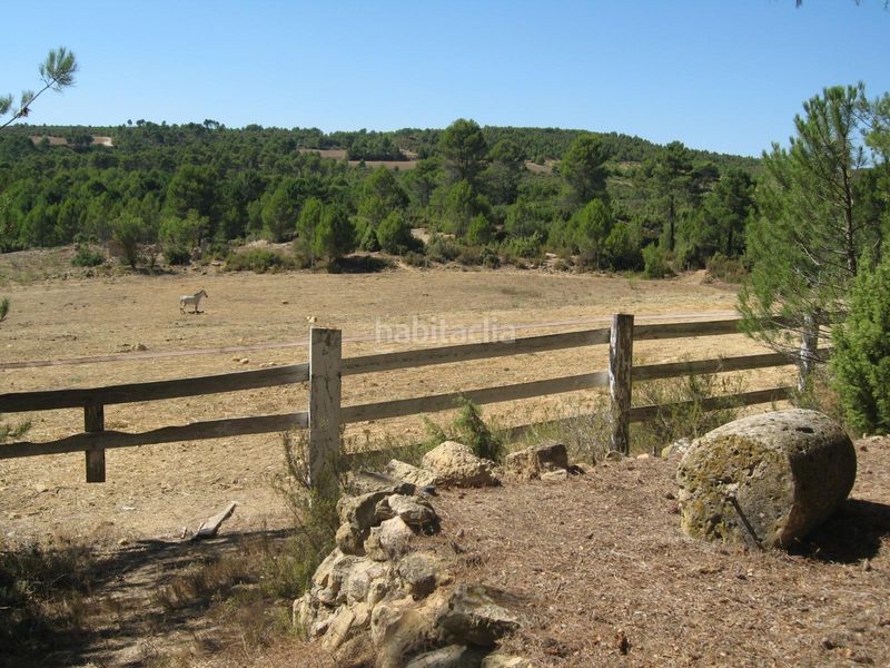 Foto d2cbc1c0-bcab-4e1e-9398-f403da02c555. Mas dans viñuelas dans Cortes de Pallás