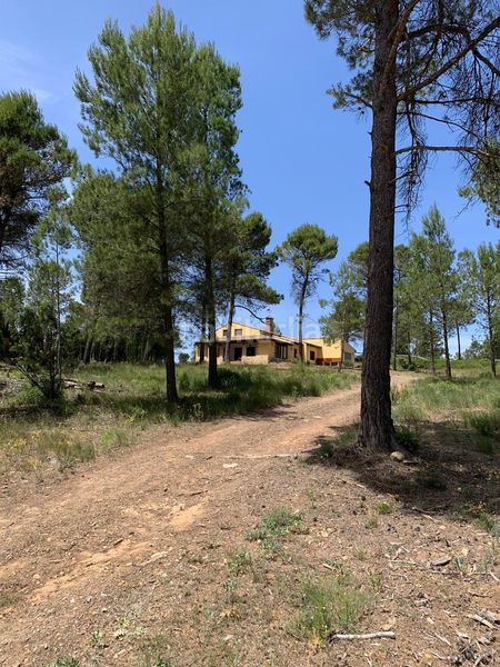 Foto ec67724c-b729-4834-b0bb-5b6fc011b924. Mas dans viñuelas dans Cortes de Pallás