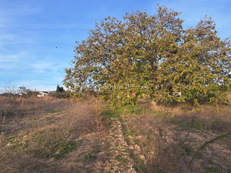 Foto 0311f2b5-3a19-49af-95e1-123684d20bc2. Masía en calle calle Requena casa de campo próxima a con pequeña nave. en Requena