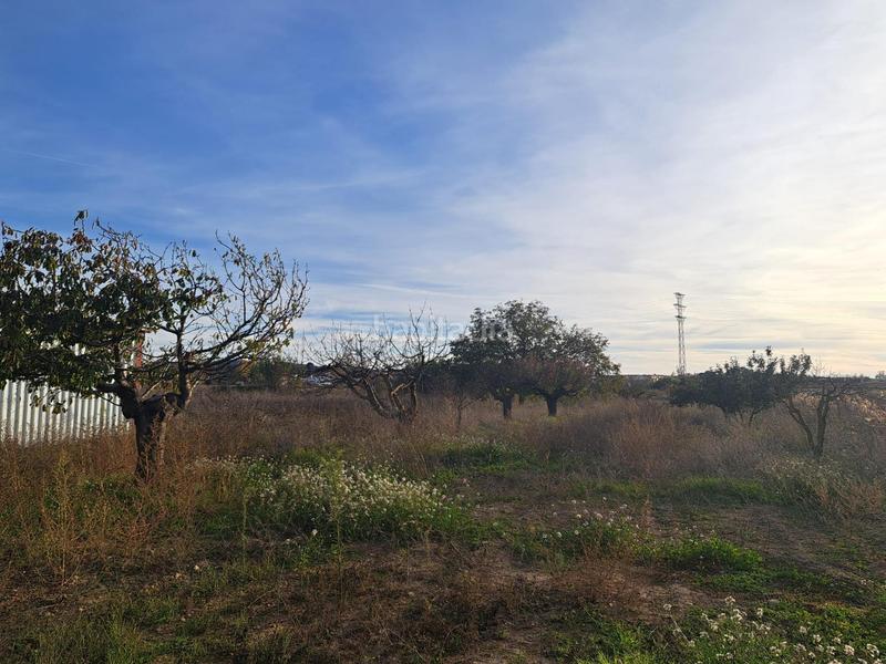 Foto 106a9a32-1cd1-43fe-a03c-a88a05b761a9. Masía en calle calle Requena casa de campo próxima a con pequeña nave. en Requena