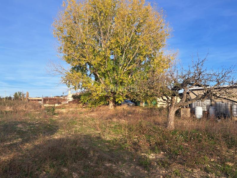 Foto 18025d02-4d2a-4aa8-8a12-ad6a25a9303c. Masía en calle calle Requena casa de campo próxima a con pequeña nave. en Requena