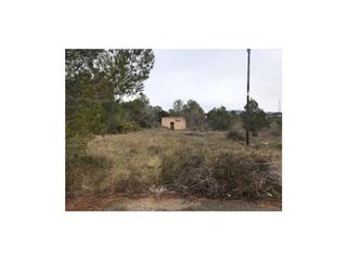 Finca rústica a Ctra de el pla al pont de armentera 12