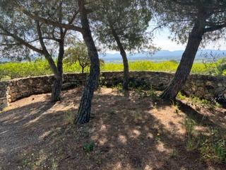 Finca rústica  Sin nombre. Terreno en venta en el pla de santa maria