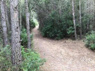 Finca rústica a Ctra de el vendrell a valls 0. Terreno en venta en ponentfrançael tancat43700