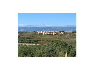 Finca rústica a Masllorenç. Terreno en venta en masllorenç
