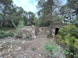 Rural plot  Camino de el pla casetas de piedra seca. Si quieres intimidad y estar cerca de todo, est es t finca!! s