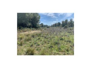 Finca rústica a Pla de Santa Maria (El). Terreno en venta en el pla de santa maria