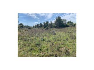 Finca rústica a Pla de Santa Maria (El). Terreno en venta en el pla de santa maria