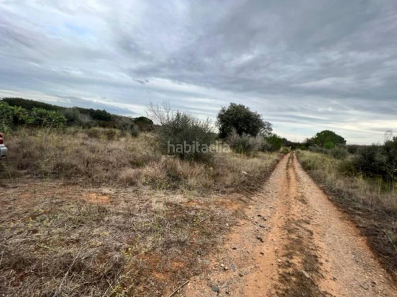 Foto 146aa25b-5b67-45c4-861e-9ed7e8965432. Finca rústica a Vilallonga del Camp