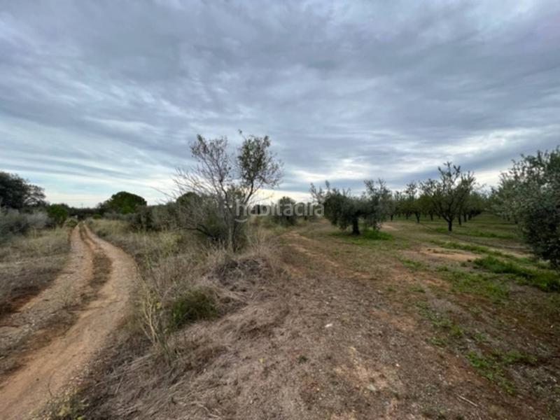 Foto 322d5b27-3a19-4fe4-9a27-e681024f5317. Finca rústica a Vilallonga del Camp