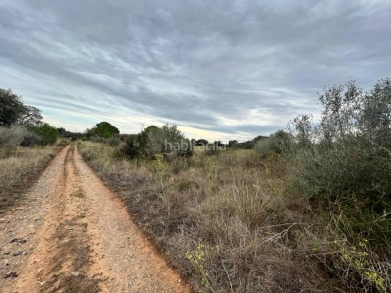 Foto 4f0cc654-3a7a-4746-a855-873fc9670d66. Finca rústica a Vilallonga del Camp