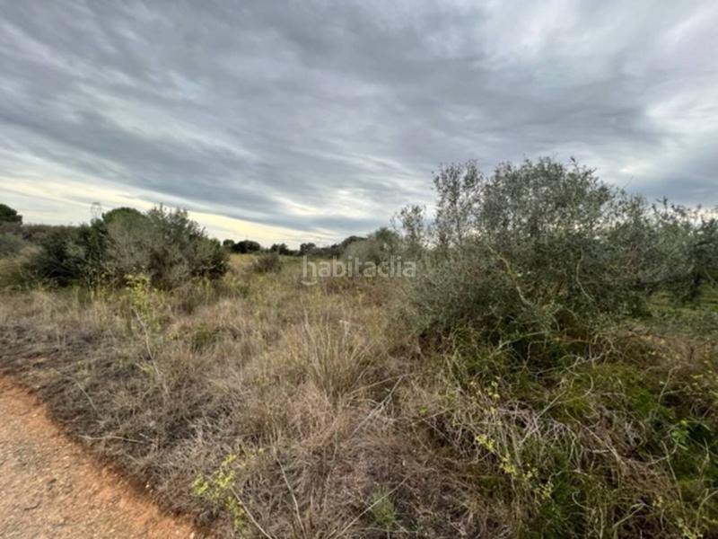 Foto aaa8eb7f-d044-42b2-905c-0841a25358f6. Finca rústica a Vilallonga del Camp