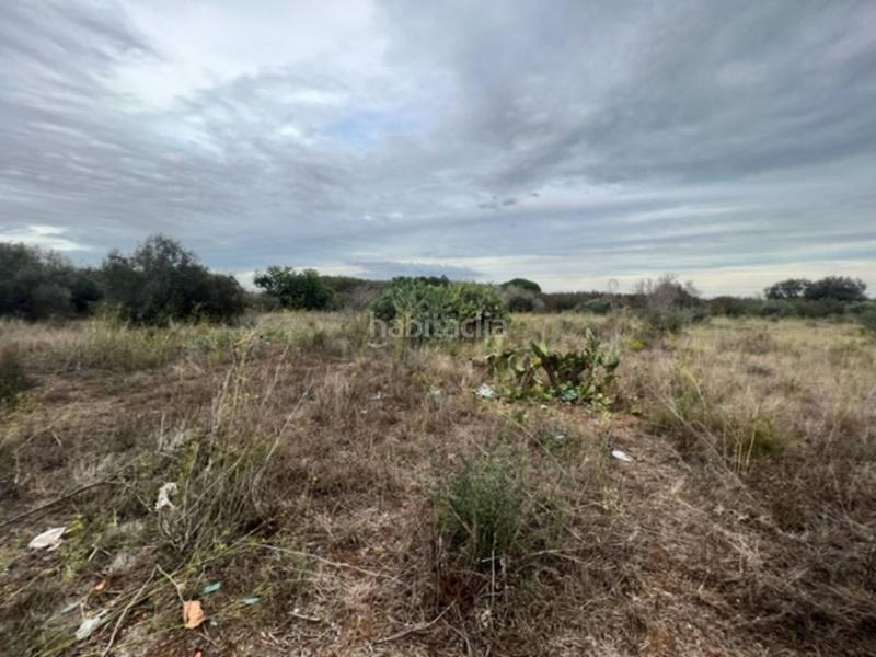 Foto b1f0635a-80f1-4c03-b512-41895480a894. Finca rústica a Vilallonga del Camp