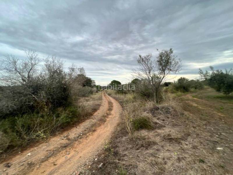 Foto b3662c71-56f7-44b8-8d15-df867f27ce44. Finca rústica a Vilallonga del Camp