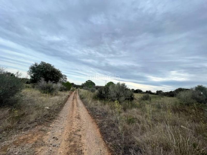 Foto dca5c186-7471-45b9-805a-fc1b4e01f7a4. Finca rústica a Vilallonga del Camp