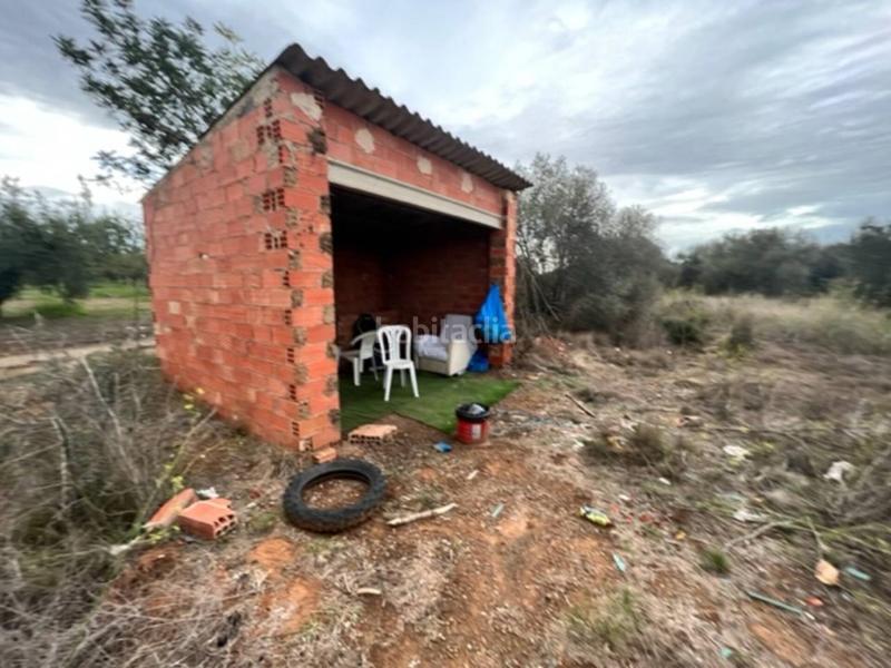 Foto df365f73-6bb2-4b26-8d98-26413bbc543d. Finca rústica a Vilallonga del Camp