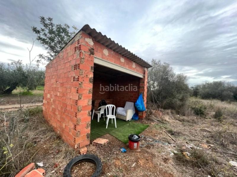 Foto e54c3772-15ef-486a-ae81-c279ba8706c4. Finca rústica a Vilallonga del Camp
