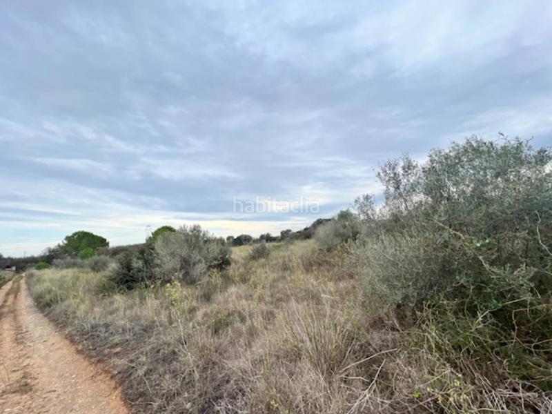 Foto e95a3227-9d81-4a7a-a458-4b4815d02bd3. Finca rústica a Vilallonga del Camp