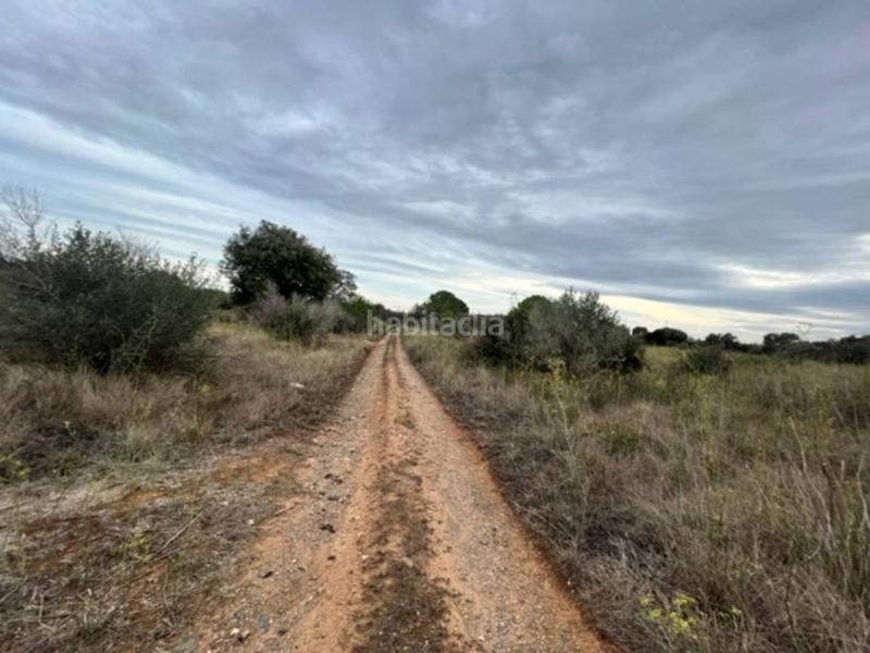 Foto eb855e2d-f81f-4230-9af5-99354461e8b6. Finca rústica a Vilallonga del Camp