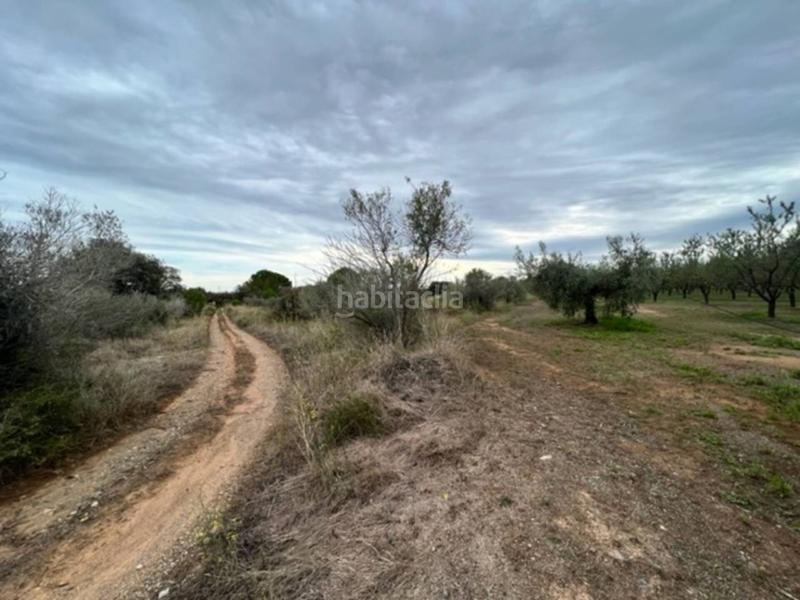 Foto f9f16c37-51be-4e86-9a25-43b942db103c. Finca rústica a Vilallonga del Camp