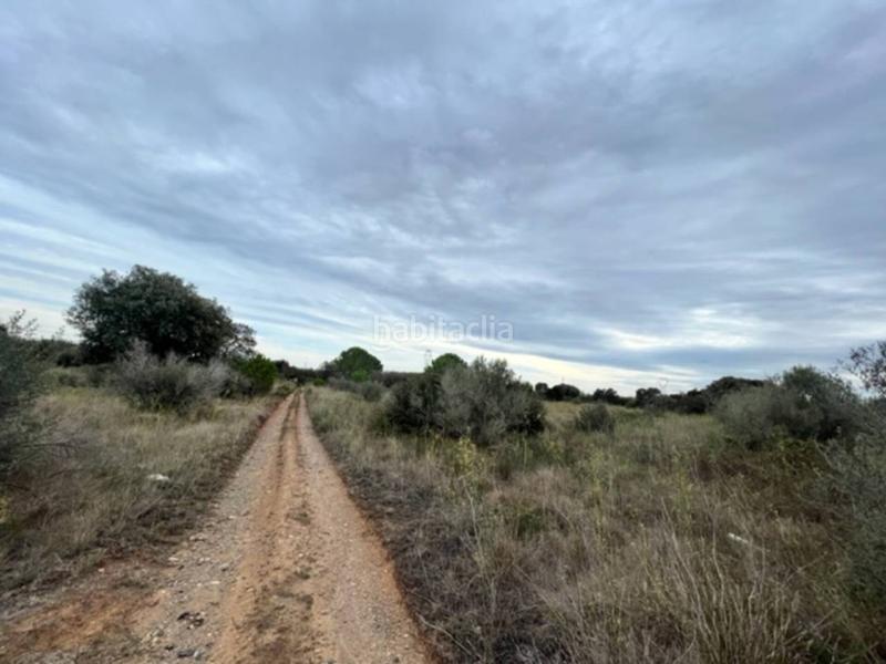 Foto fb3afec6-ac94-4406-80c8-6af0b1be9ff7. Finca rústica a Vilallonga del Camp