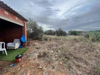 Rural plot  Camino alcover. Finca rstica en vilallonga del camp en esta finca hay un total