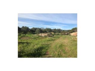 Finca rústica a Ctra del pla a vila-rodona 1550. Terreno en venta en vinyols i els arcs43850