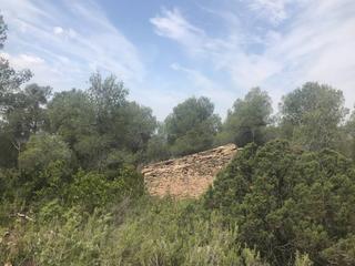 Residential Plot  Capçanès. Preciosa finca rústica de 14 ha con construcción de 50 mtrs2 a r