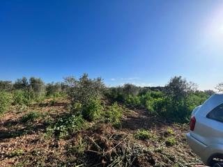 Finca rústica  Sin nombre. Descubre el encanto de disfrutar en el corazón de una finca rúst