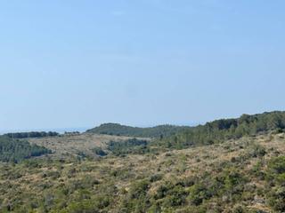 Rural plot  Bonastre. Venta de terreno en albinyana