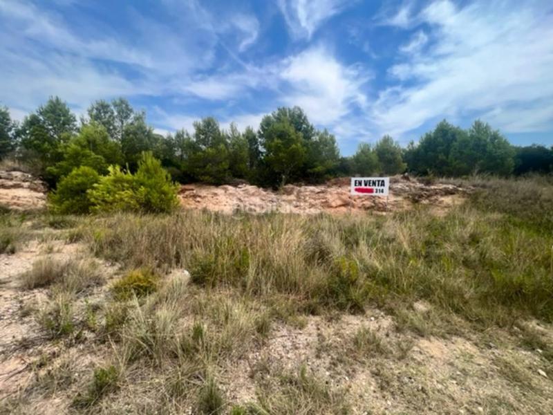 Foto 3a8b1188-7426-4097-9010-74f8b2f0316a. Terreno residenziale in Platja de Mont-roig Mont-roig del Camp