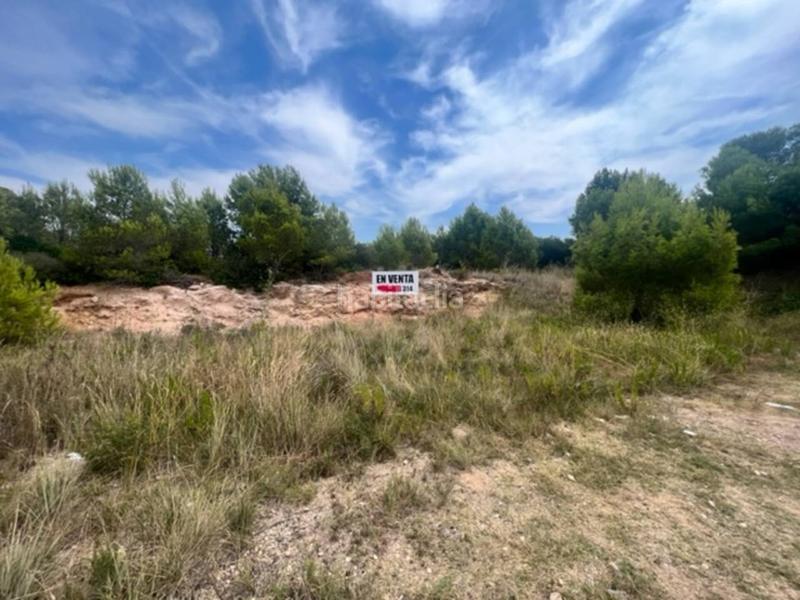 Foto 6abb4027-5a69-414d-9a11-37bdee6a17a0. Terreno residenziale in Platja de Mont-roig Mont-roig del Camp