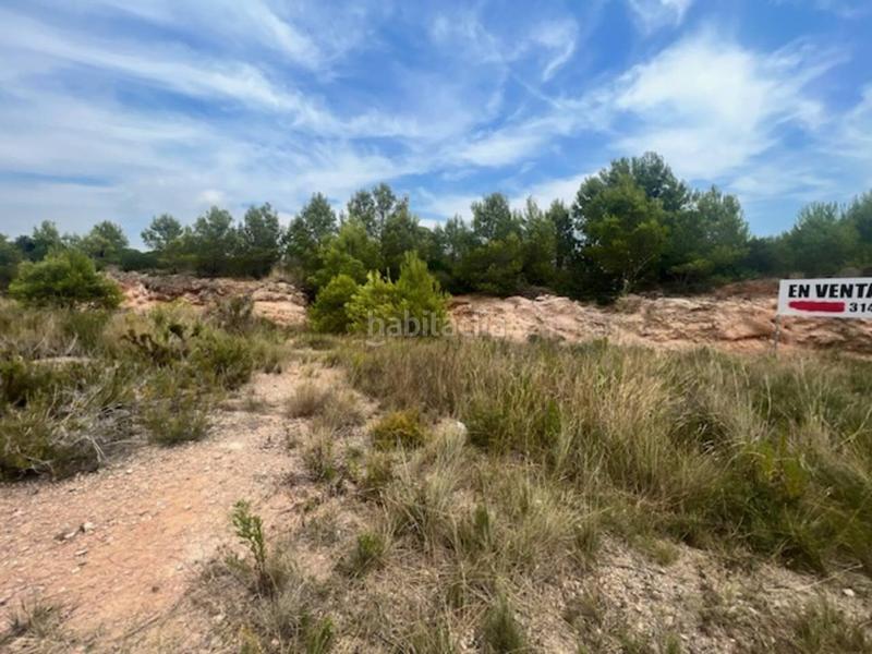 Foto df816d7d-b2f0-4fb2-ae6d-481d5e8a9db0. Terreno residenziale in Platja de Mont-roig Mont-roig del Camp