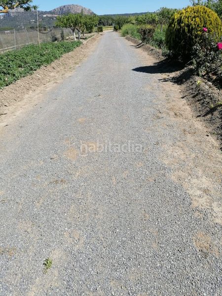 Foto 5f1a5c09-16cf-4173-928c-885947d7e016. Finca rústica a Els Griells Estartit