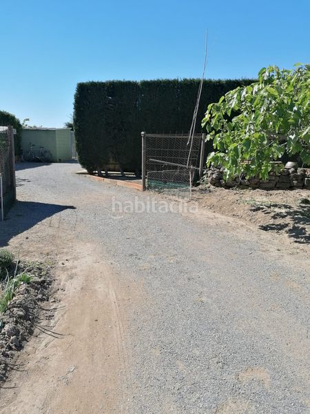 Foto 984fc0e3-c206-46eb-b66b-14a08a907534. Finca rústica a Els Griells Estartit