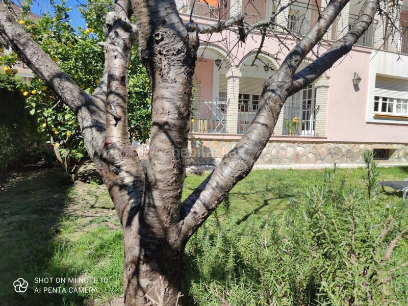 Foto 4b4f689c-796f-4492-94e9-070eb502d4b1. Xalet amb aparcament a El Tancat-Mas d´en Gual Vendrell (El)