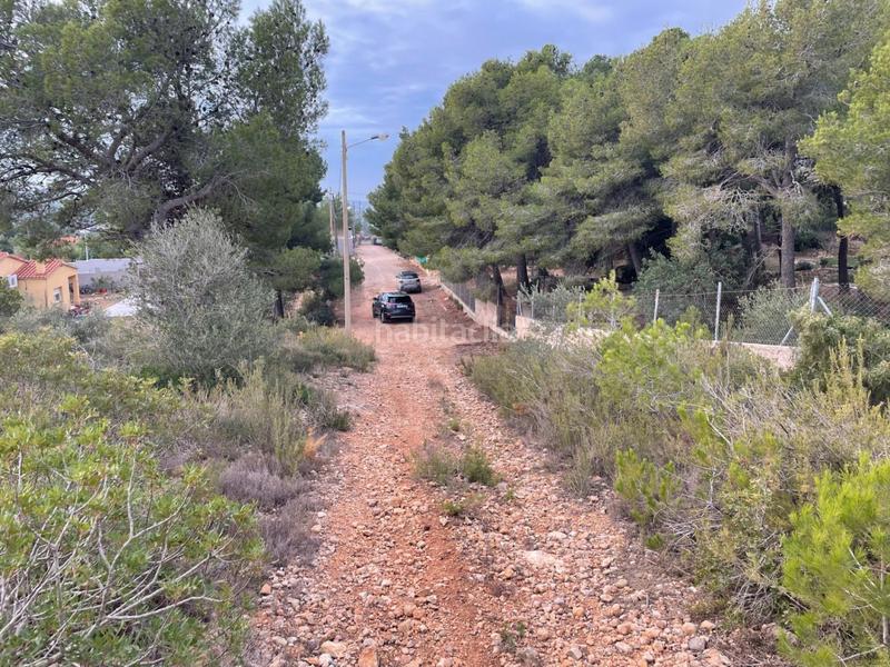 Foto fe408a12-4d0b-4f13-b569-2abc1f7a8aab. Terrain résidentiel dans Montmell (El)