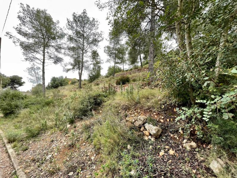 Foto a5f73005-0722-4049-a9e1-7794c797aba3. Terreny residencial a Bisbal del Penedès (La)