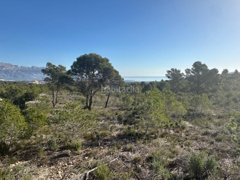 Foto 51c1fa63-d05e-4719-9637-bc0e85547b8a. Terreno residencial en Pueblo-Ubanizaciones Alfàs del Pi (l´)