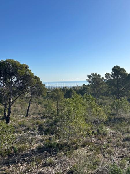 Foto b3684aa1-0bdb-4dbe-812f-e3e94406cfa6. Wohngrundstück in Pueblo-Ubanizaciones Alfàs del Pi (l´)