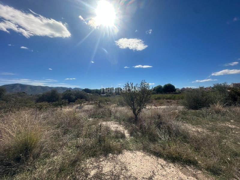 Foto f97701ae-67fd-4c28-abc9-5b265d845b7b. Terreno residencial en Pueblo-Ubanizaciones Alfàs del Pi (l´)