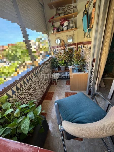 Foto 016aaa8f-fd56-4a1a-909c-b4a20f65416a. Pis a La Paz Alcalá de Guadaira