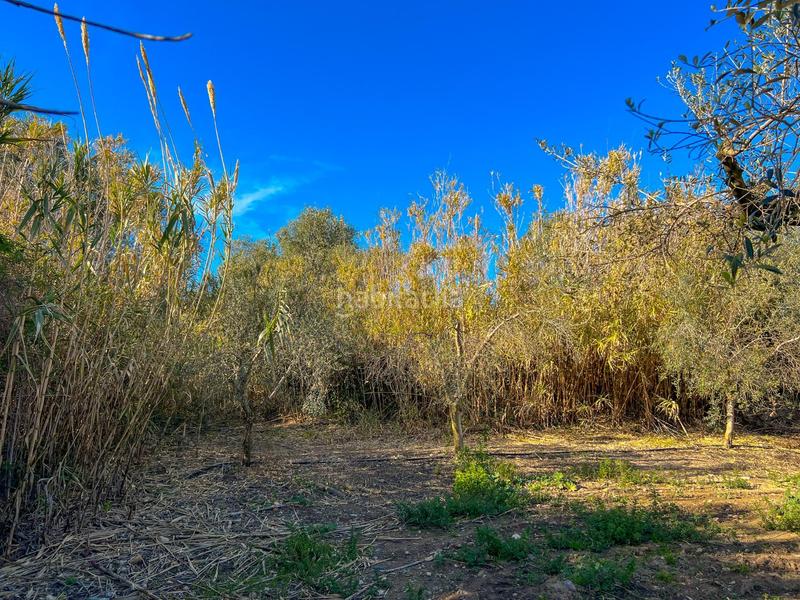 Foto 0f67d9e5-80db-4aca-8728-3559675d403c. Terreny residencial a casc antic - nou Cambrils Cambrils