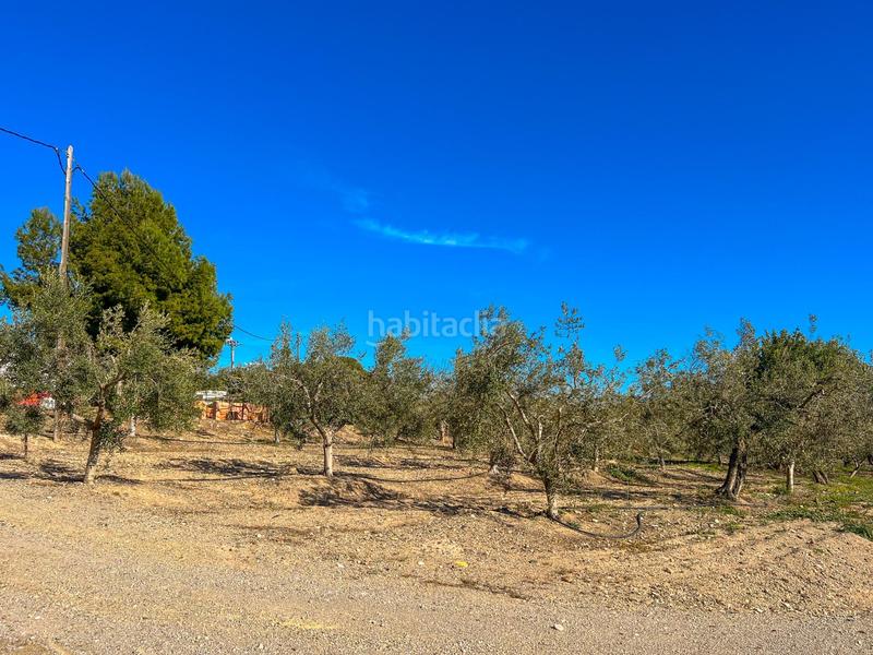 Foto 6482a330-4975-4498-9197-4e41588c4fb7. Terreny residencial a casc antic - nou Cambrils Cambrils